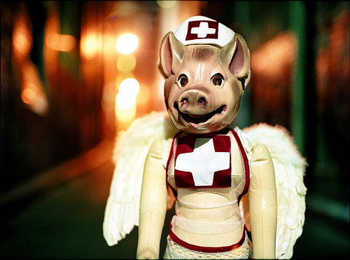 fairy pig in dress