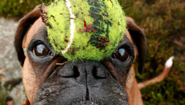 I have a ball on my head but it has nothing to do with the story. Neither do I. I