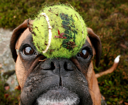 I have a ball on my head but it has nothing to do with the story. Neither do I. I