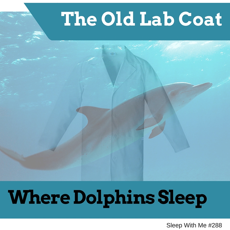 The Old Lab Coat