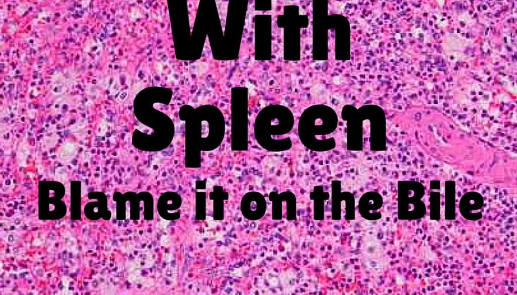Interview WithA Spleen