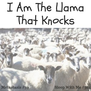 I Am The LlamaThat Knocks