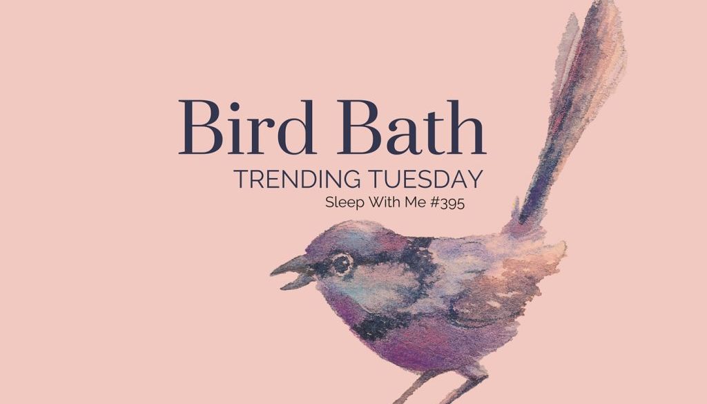 Bird Bath | Trending Tuesday Guided Meditation