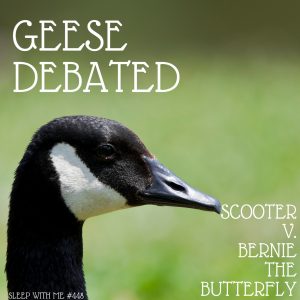 geesedebated